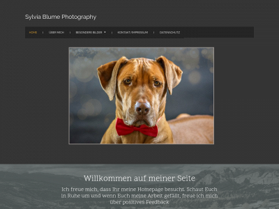 derfotofimmel.de snapshot