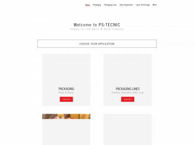 ps-tecnic.com snapshot