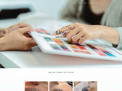liny.dk snapshot