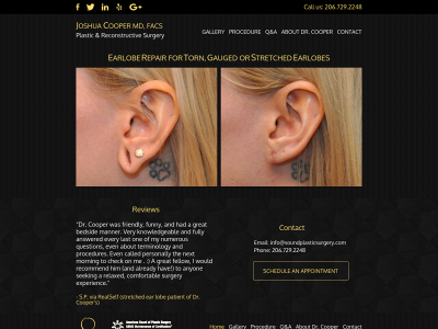 earlobeseattle.com snapshot