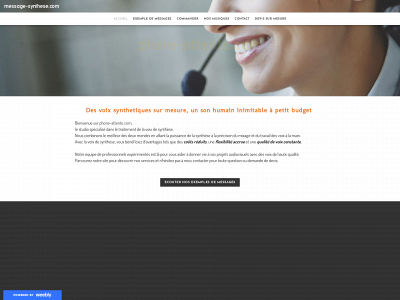 messagesynthese.weebly.com snapshot