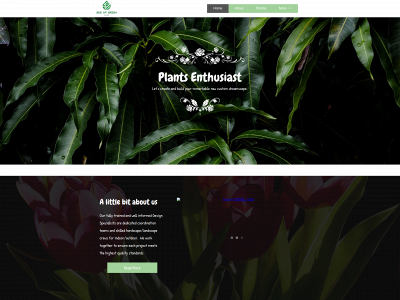 seeofgreenllc.com snapshot