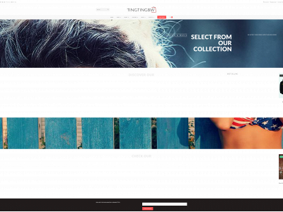 tingtingbw.com snapshot