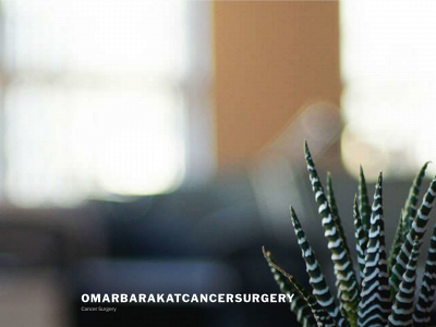 barakatsurgerycancer.com snapshot