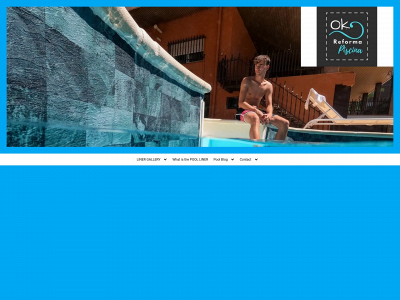 www.okreformapiscina.net snapshot