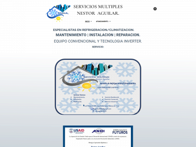 serviciosmultiplesna.com snapshot