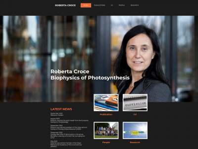 robertacroce.nl snapshot