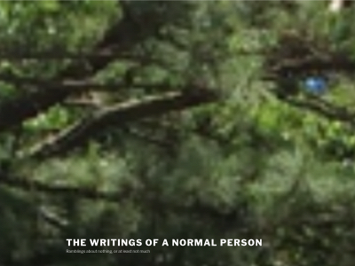 thewritingsfanormalperson.com snapshot