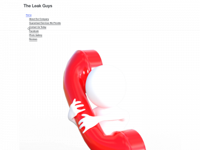 theleakguys.net snapshot