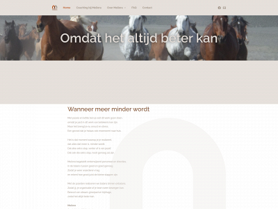meliora-coaching.nl snapshot
