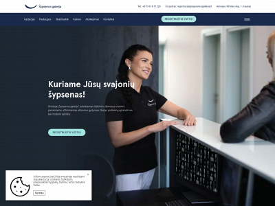 sypsenosgalerija.lt snapshot