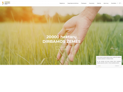 lietuviskijavai.lt snapshot