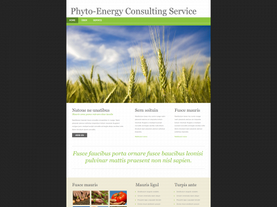 phyto-energy.com snapshot