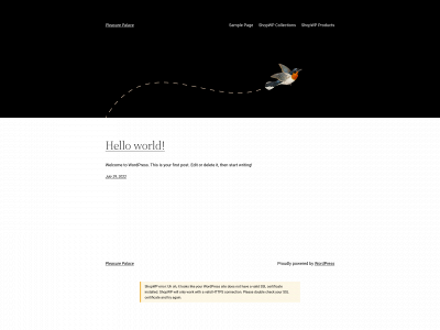 pleasuresplace.com snapshot