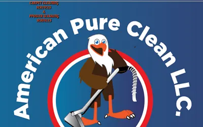 americanpurecleanllc.com snapshot