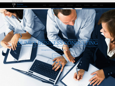dumexbusinessconsulting.com snapshot