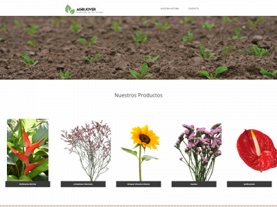 agrijover.es snapshot
