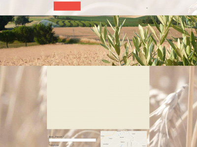 lesoliviersdebrassagou.fr snapshot