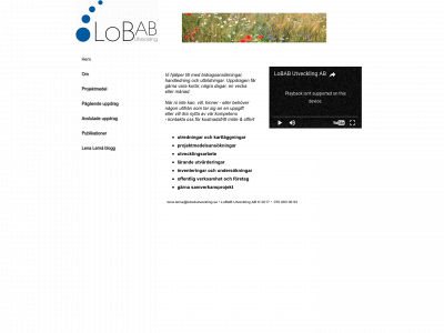 lobabutveckling.se snapshot