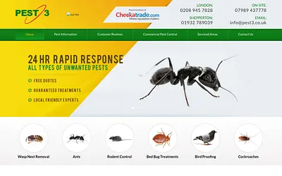 pest3.co.uk snapshot
