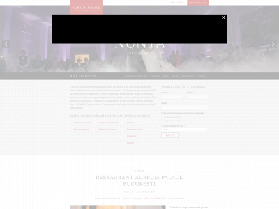 www.aurrumpalace.ro snapshot