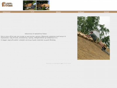 taekkefirma-fobian.dk snapshot
