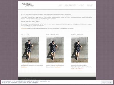 punctualproofreading.com snapshot
