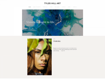 www.tylerhillartshop.com snapshot