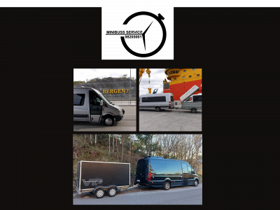 minibuss-service.com snapshot