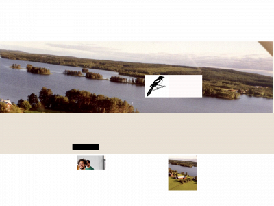 skivsjo.se snapshot