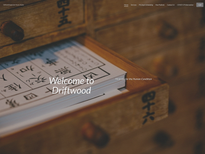 driftwoodclinic.com snapshot