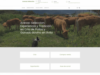 www.avevacseleccion.com snapshot