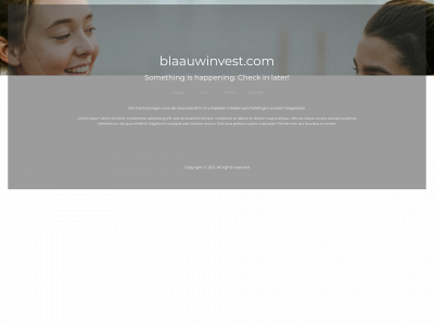 blaauwinvest.com snapshot