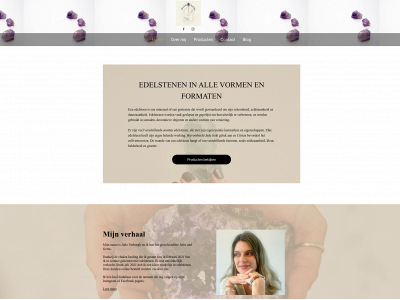 julesandgems.be snapshot
