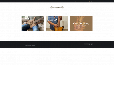 vibronguitars.com snapshot