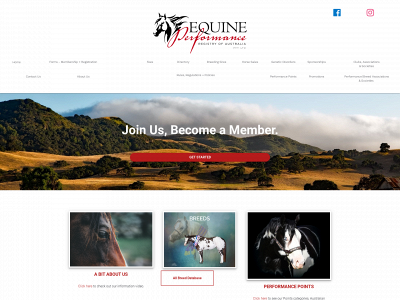 equineperformanceregistry.com snapshot