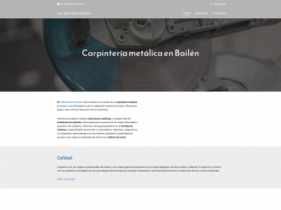 www.talleresruizcarrion.es snapshot