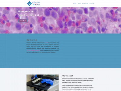 ruffnerlab.org snapshot