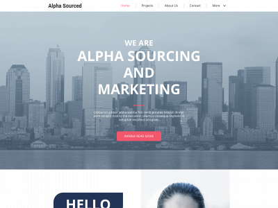 alphasourcing.uk snapshot