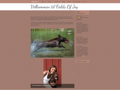 fields-of-joy.com snapshot