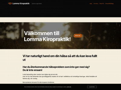 lommakiropraktik.se snapshot