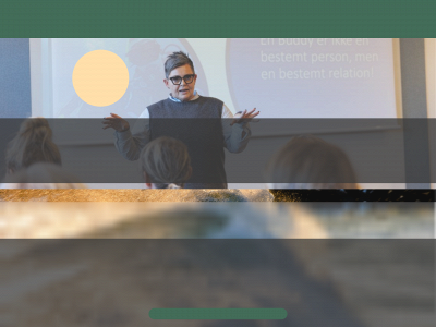 rikkestruve.dk snapshot
