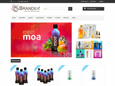 brandiix.be snapshot