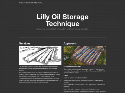 lillyint.com snapshot