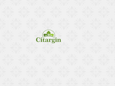 citargin.de snapshot