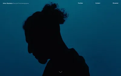 viktorskarback.com snapshot