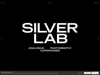 silverlab.dk snapshot
