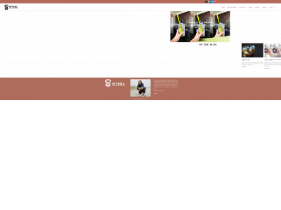 steelandcinnamon.com snapshot