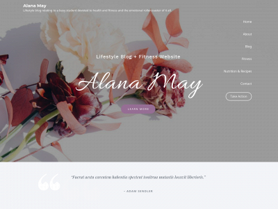 alanamay.com snapshot