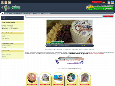 www.coovees.es snapshot